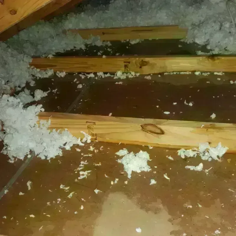 Attic Water Damage in Monroe County, IL