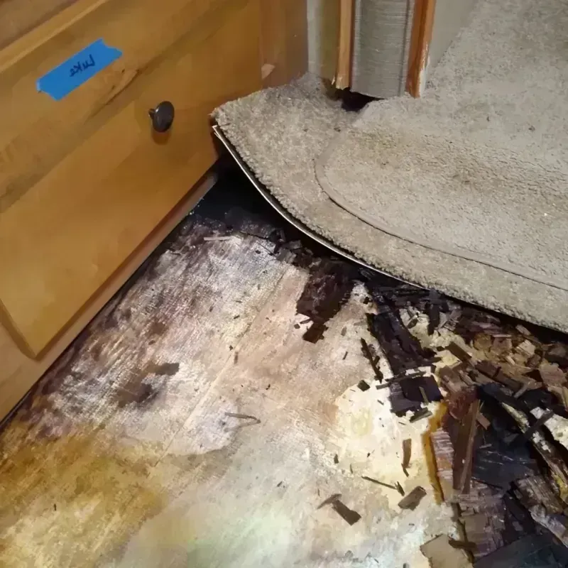 Best Wood Floor Water Damage Service in Monroe County, IL